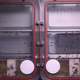 Image for article titled What the hell are 800 ants doing on the International Space Station?